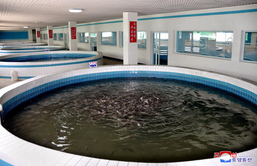 1-운산메기공장